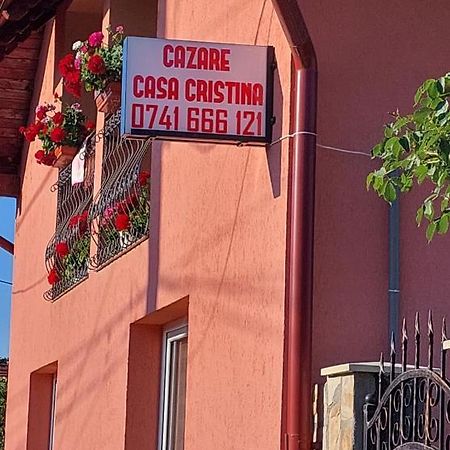 ホテル Casa Cristina Cîrţişoara エクステリア 写真
