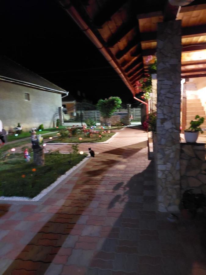 ホテル Casa Cristina Cîrţişoara エクステリア 写真