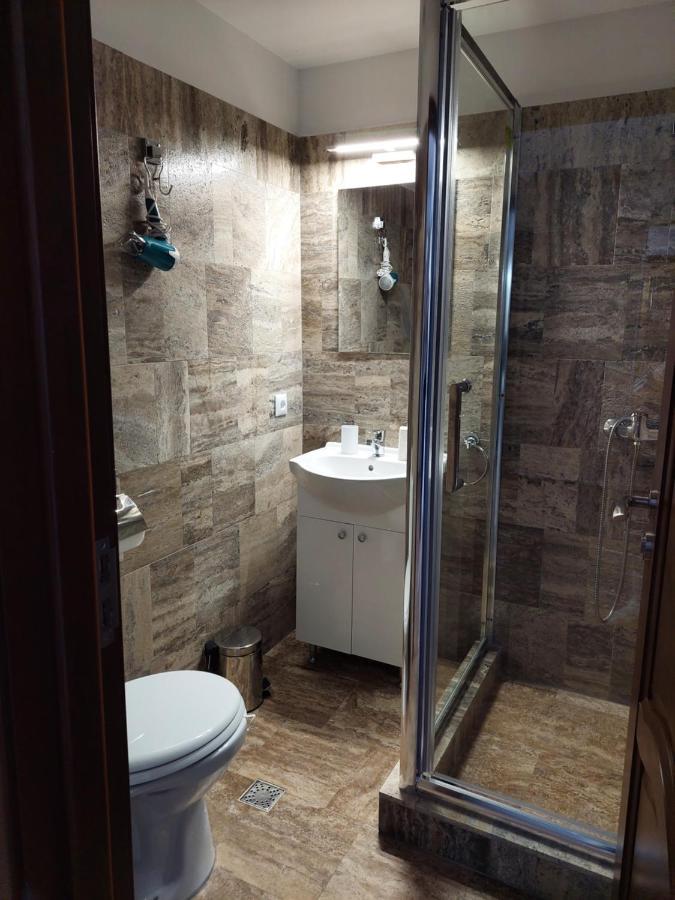 ホテル Casa Cristina Cîrţişoara エクステリア 写真