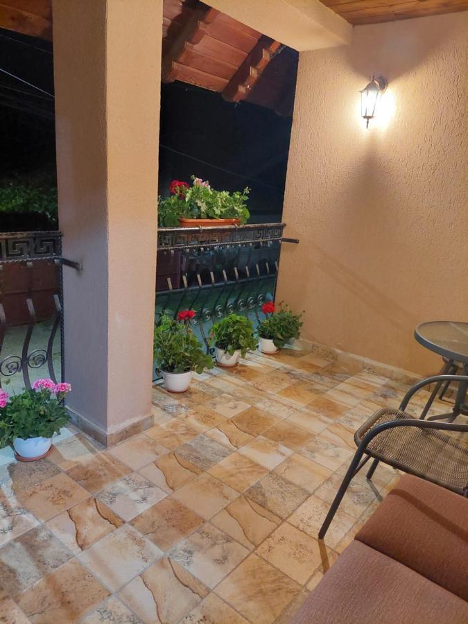 ホテル Casa Cristina Cîrţişoara エクステリア 写真