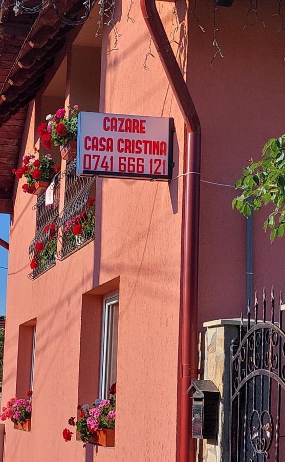 ホテル Casa Cristina Cîrţişoara エクステリア 写真