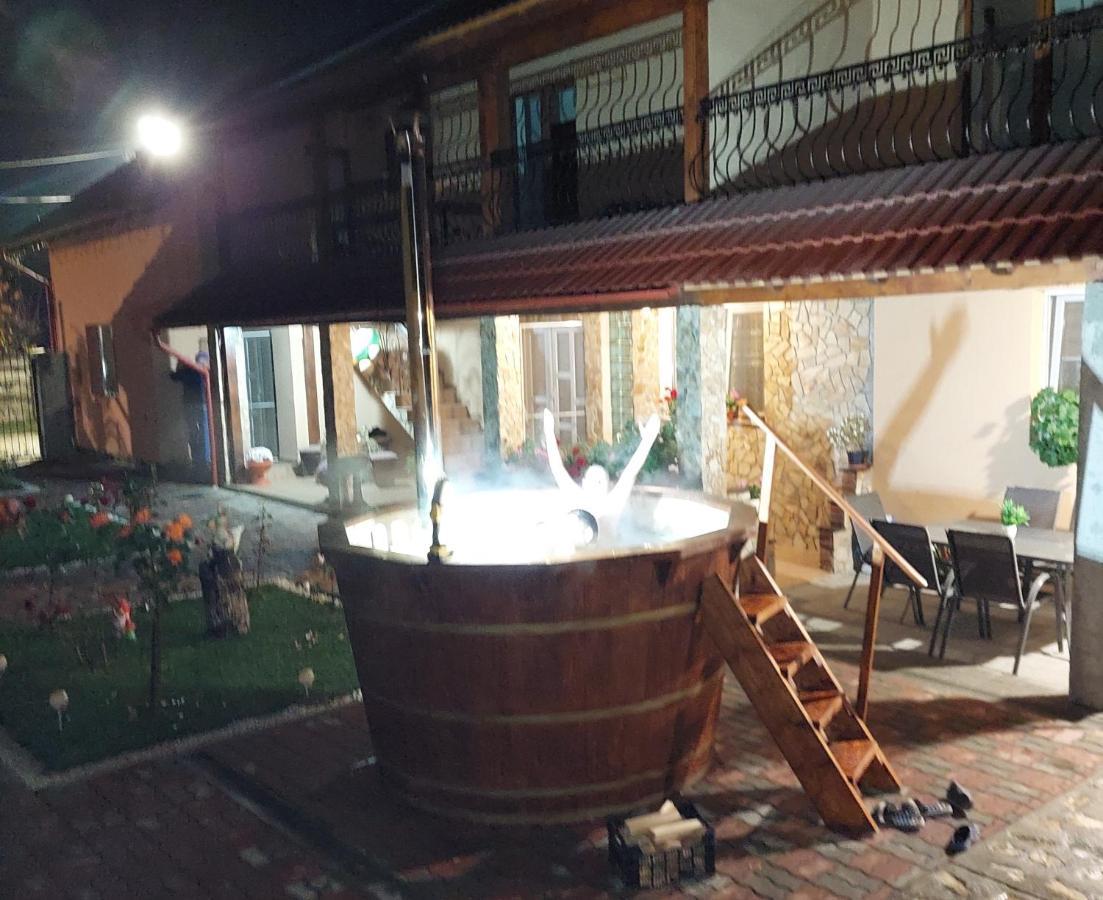 ホテル Casa Cristina Cîrţişoara エクステリア 写真