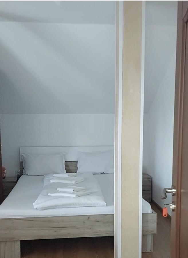 ホテル Casa Cristina Cîrţişoara エクステリア 写真