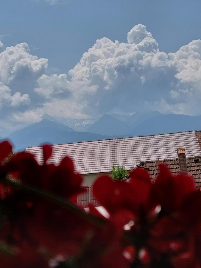 ホテル Casa Cristina Cîrţişoara エクステリア 写真