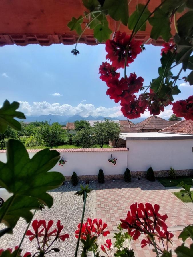ホテル Casa Cristina Cîrţişoara エクステリア 写真