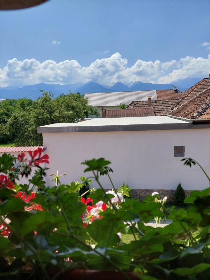 ホテル Casa Cristina Cîrţişoara エクステリア 写真